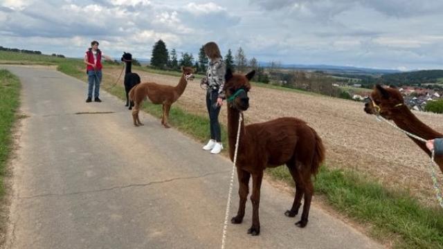 Ausflug der Pflegeteams zur den Alpakas in Nesselröden.